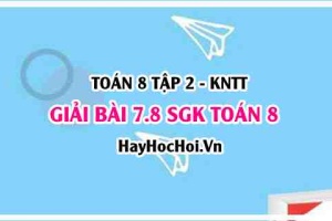 Bài 7.8 SGK Toán 8 Tập 2 Kết nối tri thức